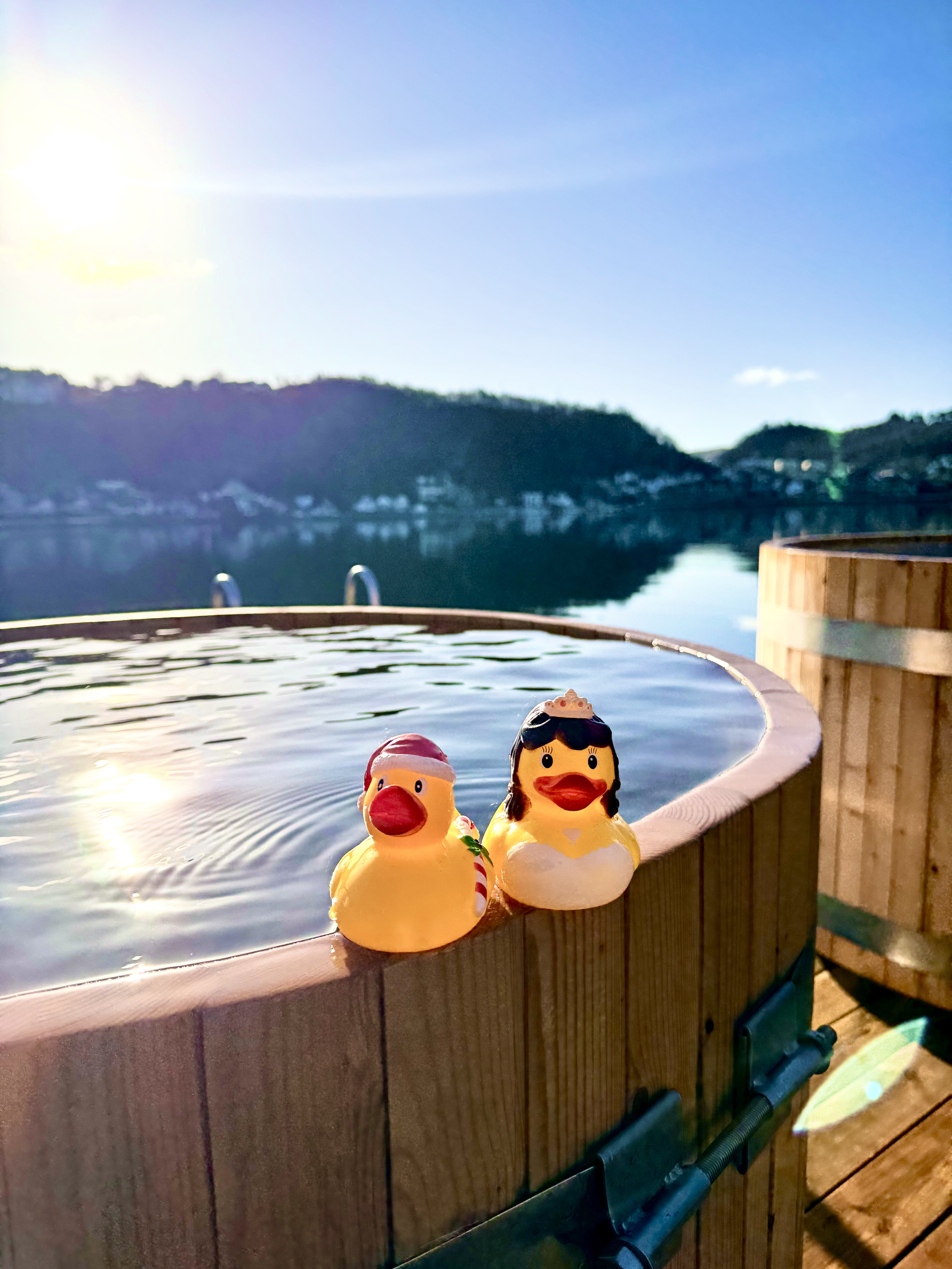 sauna gallery
