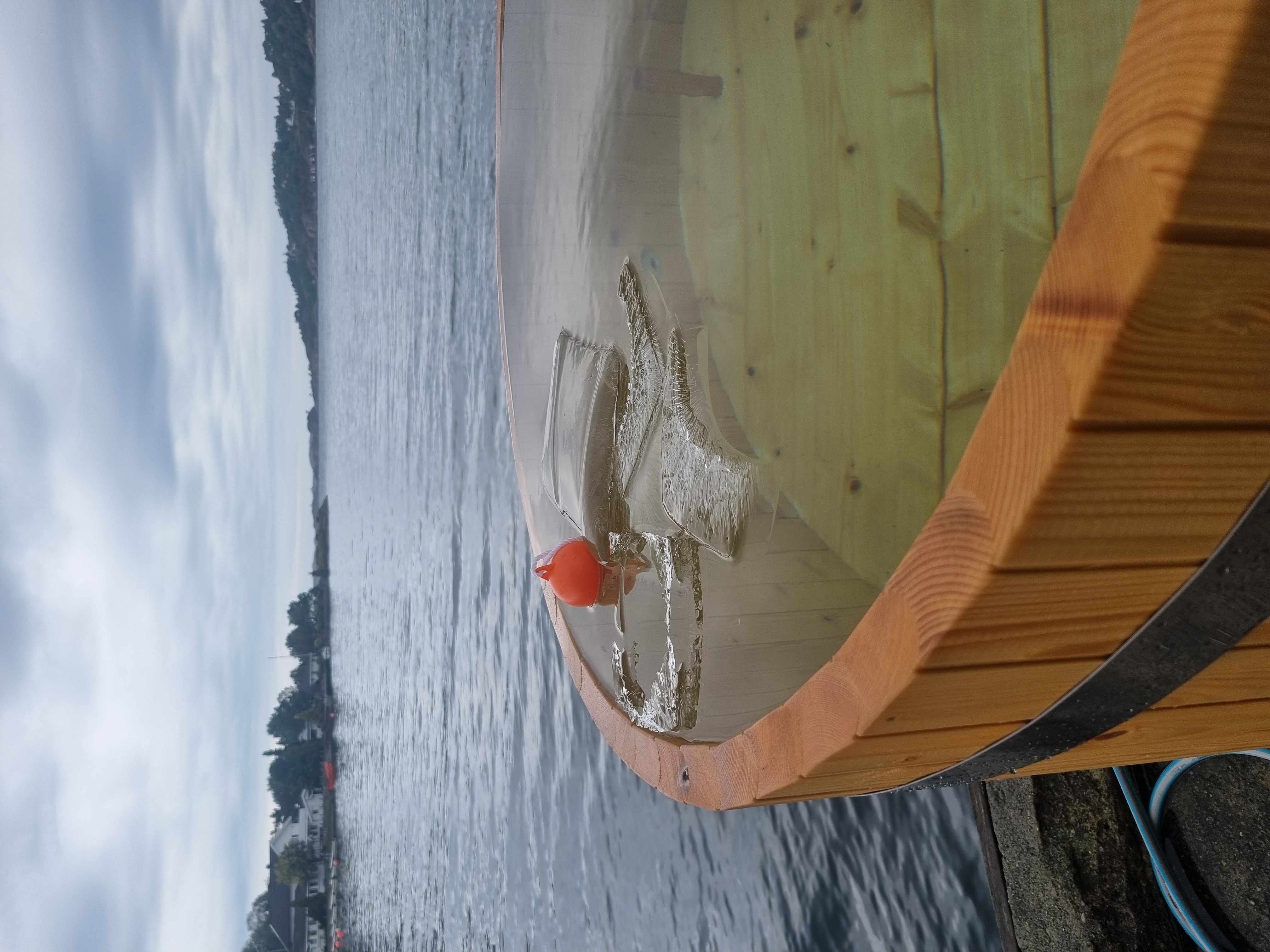 sauna gallery