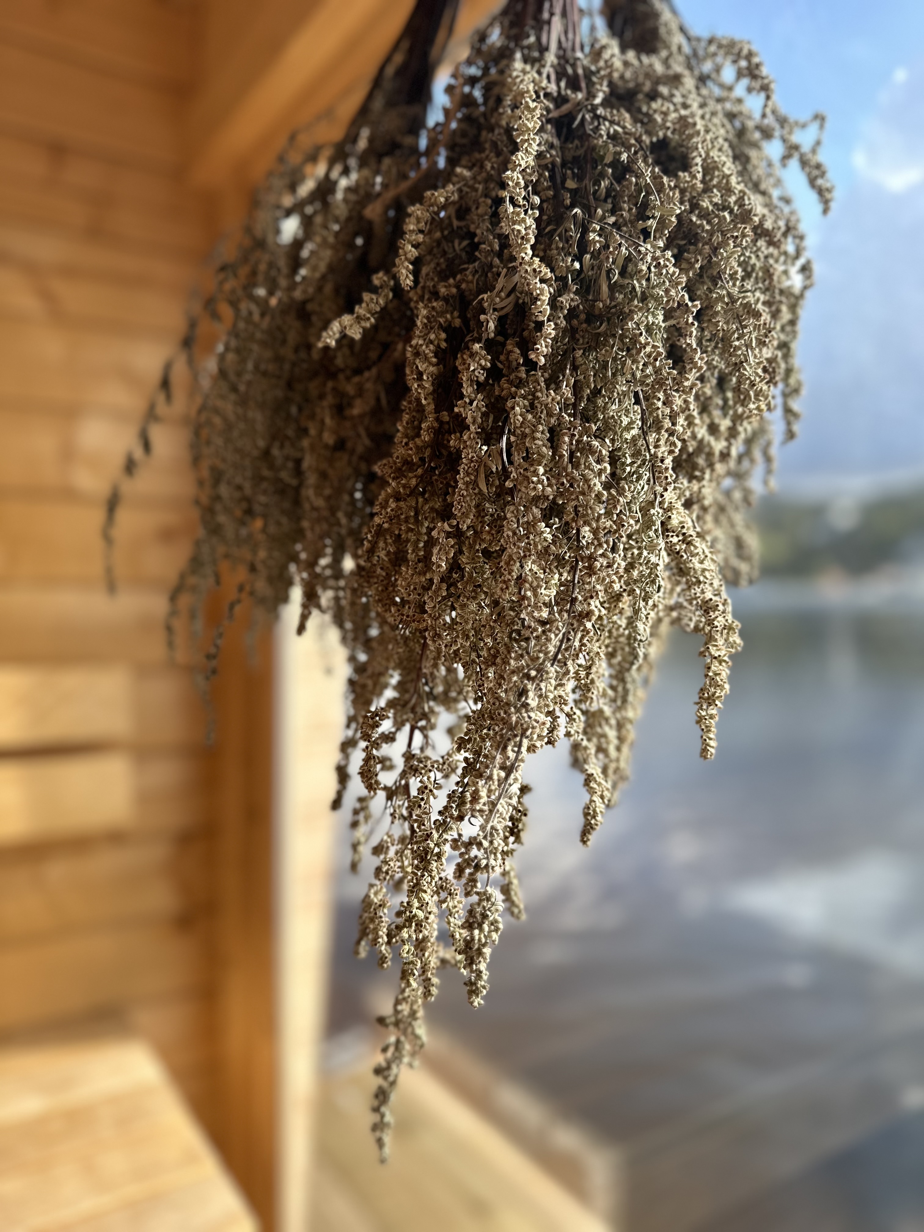 sauna gallery