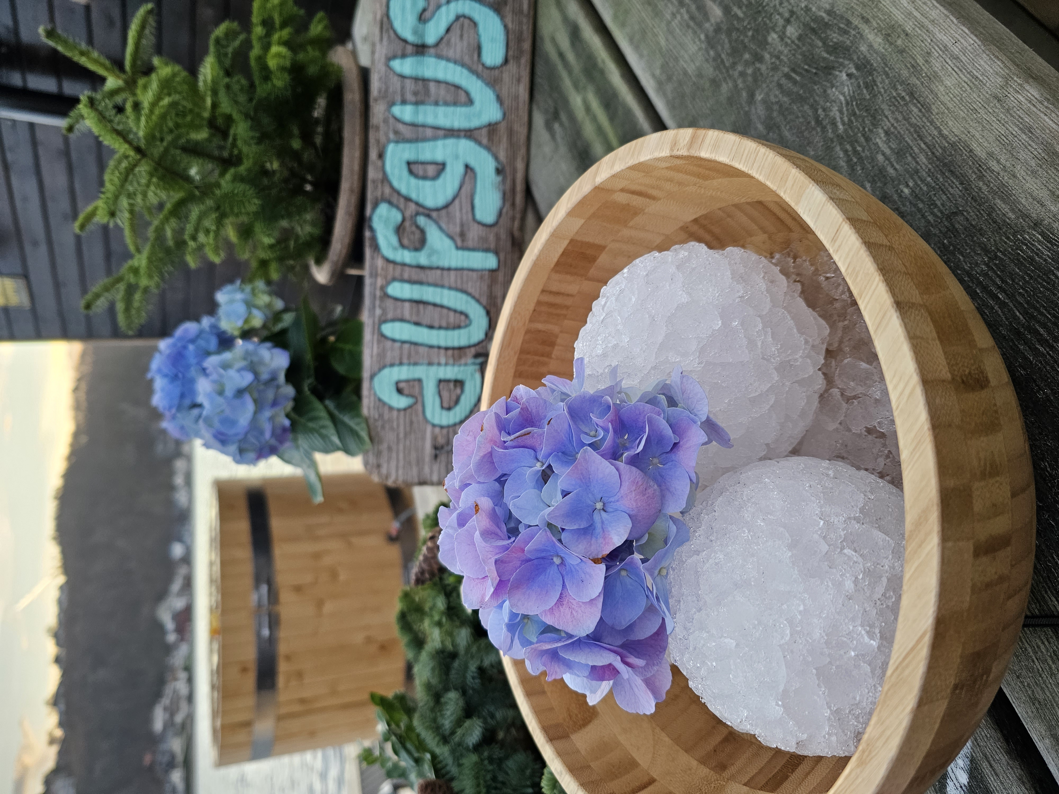 sauna gallery