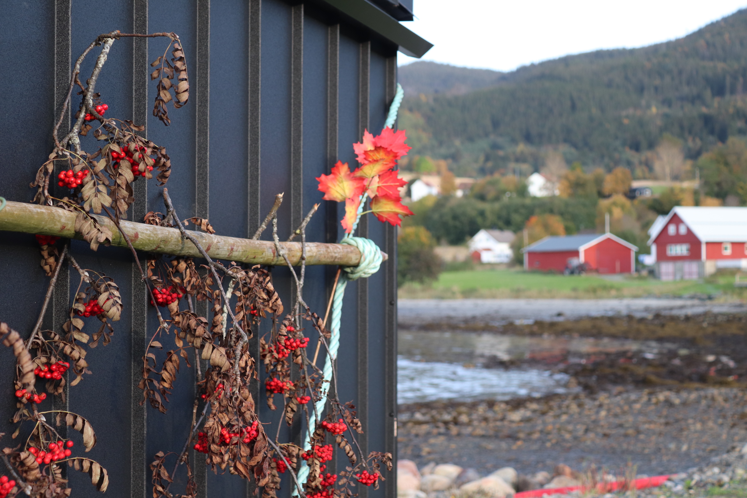 sauna gallery